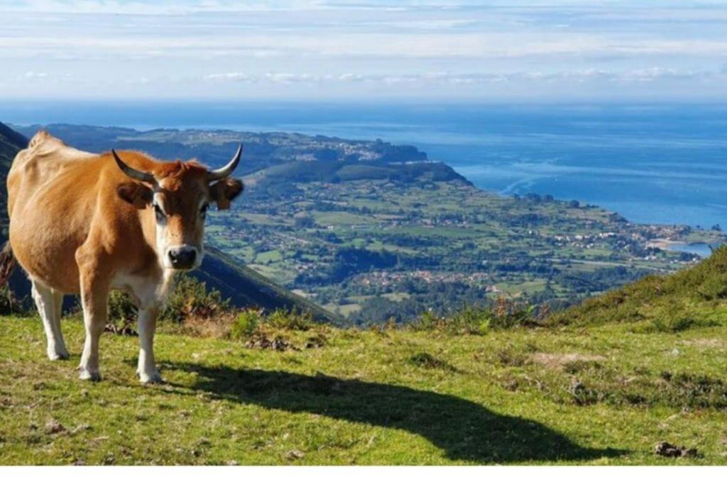 Casa Todah, Playas Y Montanas Duesos Luaran gambar